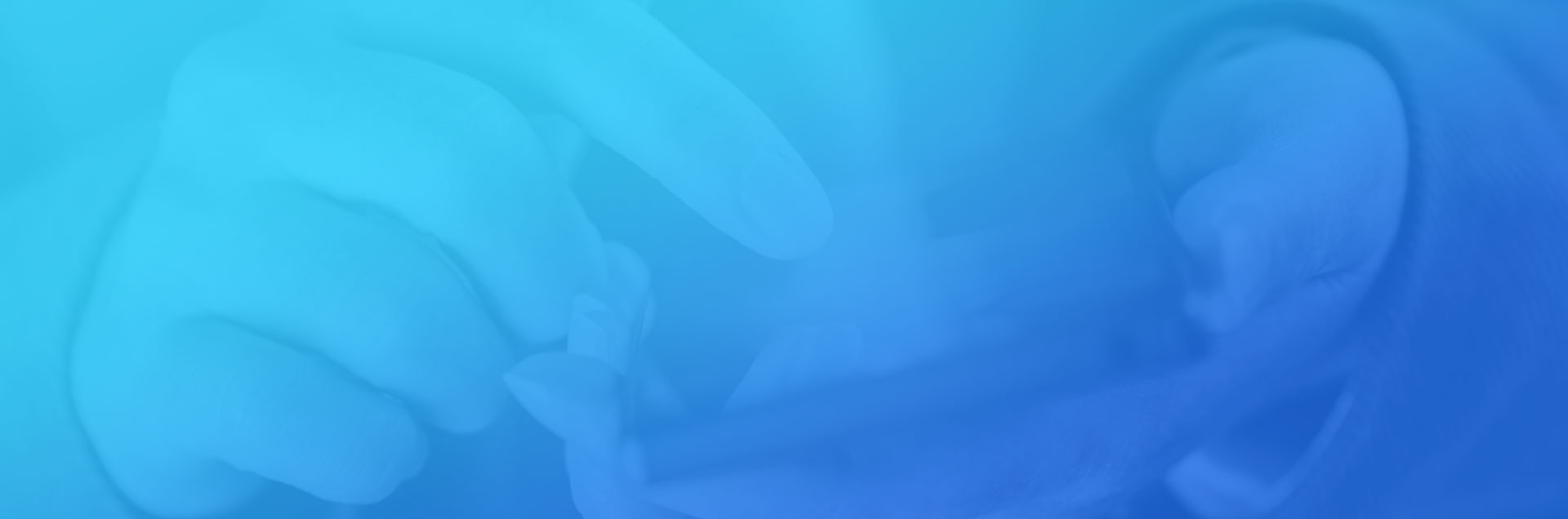 安菲科技-网站建设|微信开发|小程序开发