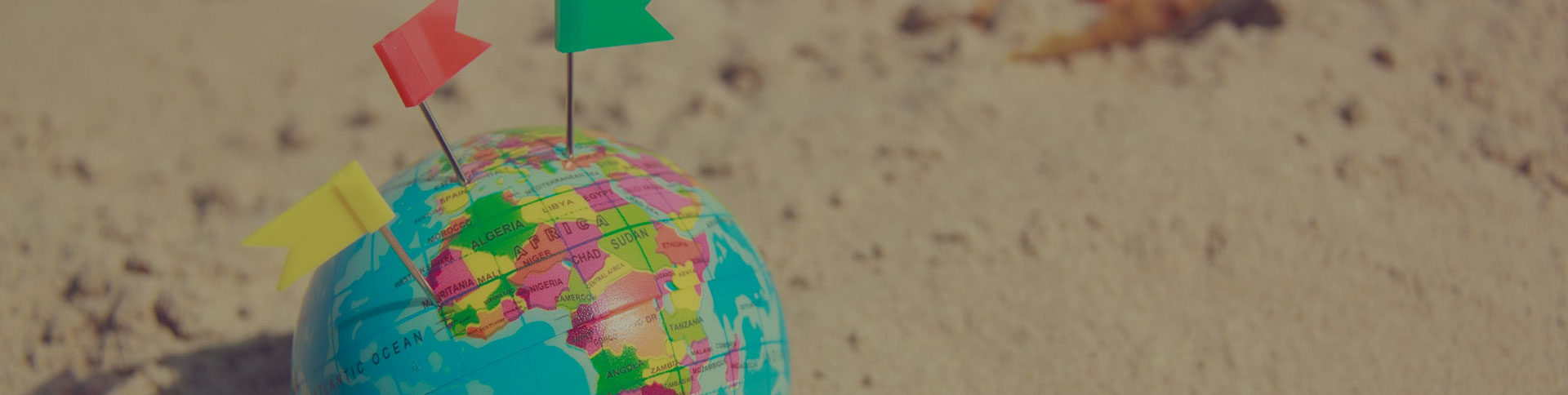 环球购物官方网站|安菲科技-网站建设小程序APP系统软件开发公司