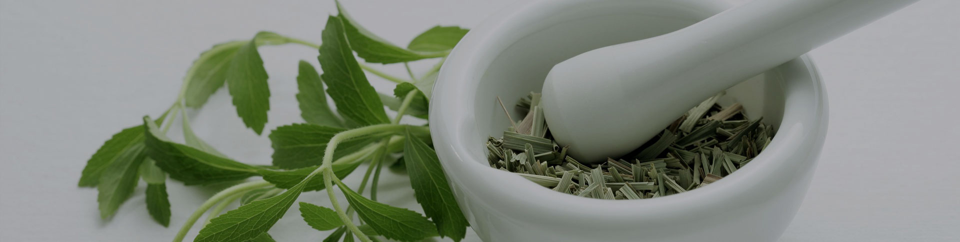 种药吧-中药供需信息发布平台|安菲科技-网站建设小程序APP系统软件开发公司