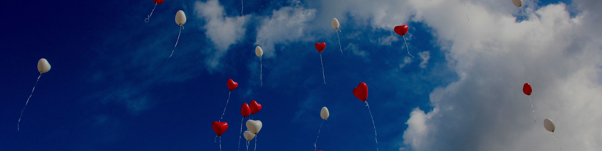 大众筹-在线众筹网站平台|安菲科技-网站建设小程序APP系统软件开发公司