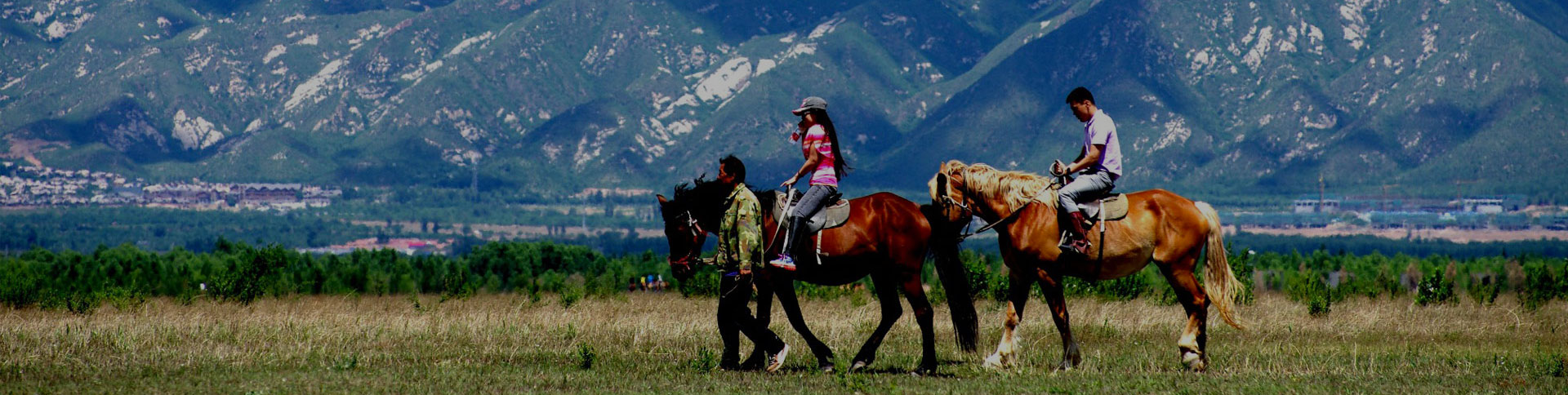 京西北旅游-微信H5展示平台|安菲科技-网站建设小程序APP系统软件开发公司