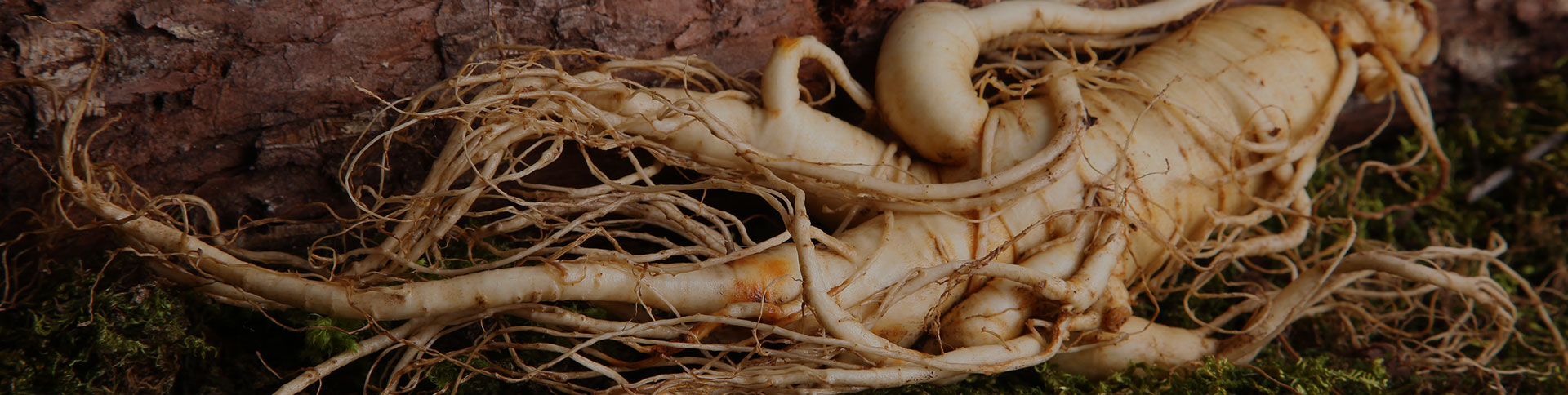 正德药业-品牌营销网站|安菲科技-网站建设小程序APP系统软件开发公司