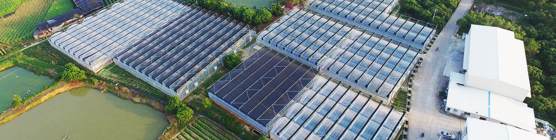 健康产业集团公司品牌宣传网站|安菲科技-网站建设小程序APP系统软件开发公司