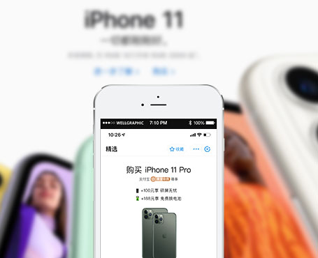 Apple直送旗舰店-支付宝电商小程序-安菲科技项目案例
